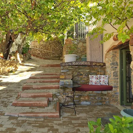 Cressa Ghitonia Village Hotell 4*