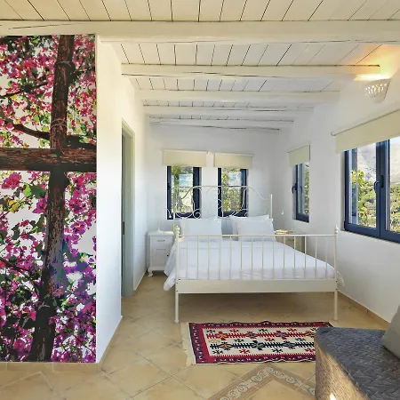 Cressa Ghitonia Village Hotell Sitia (Crete)
